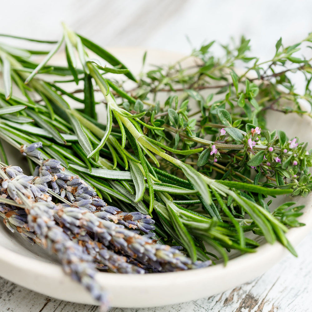 You don’t have to be an expert to make Thyme